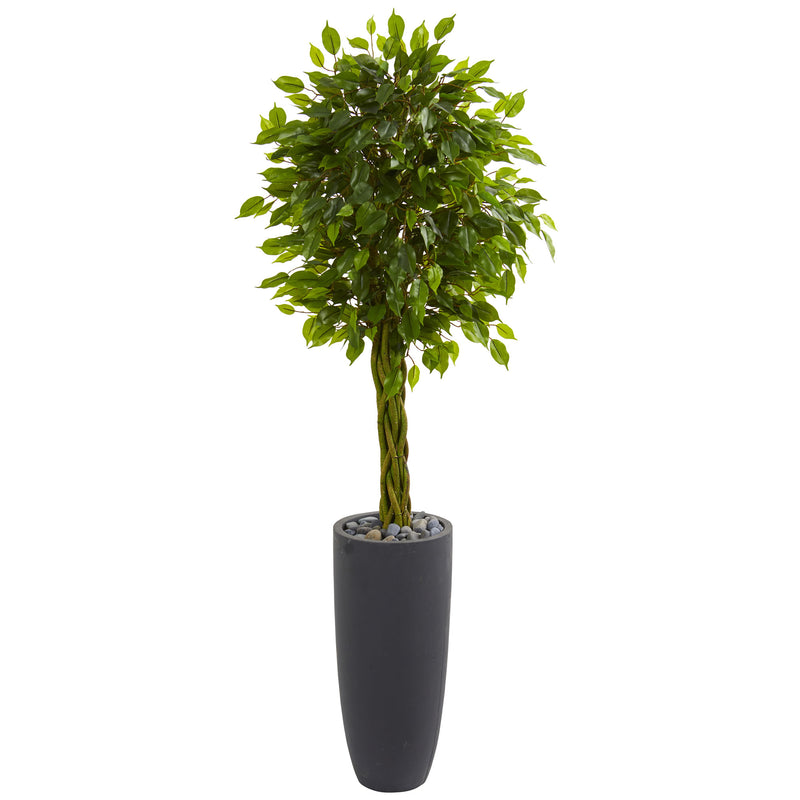 5.5’ Braided Ficus Artificial Tree In Gray Cylinder Planter UV Resistant (Indoor/Outdoor)
