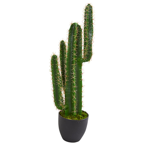2.5’ Cactus Artificial Plant