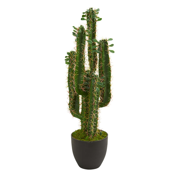 2.5’ Cactus Artificial Plant