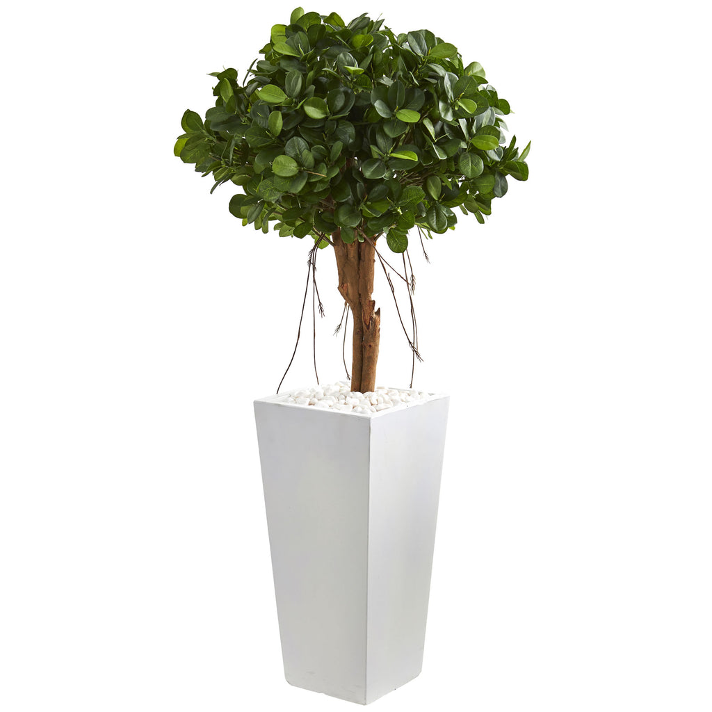 4’ Oak Ficus Artificial Tree