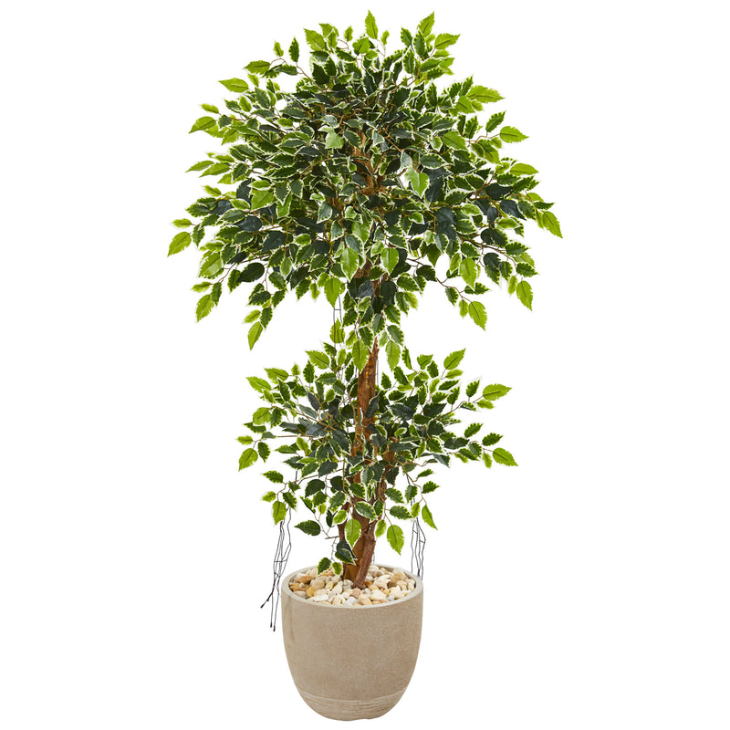 55” Variegated Ficus Artificial Tree In Sandstone Planter