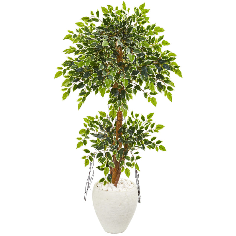 56” Variegated Ficus Artificial Tree In White Planter