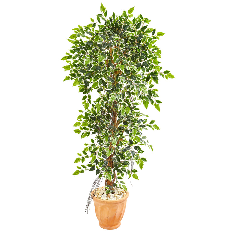 64” Elegant Ficus Artificial Tree In Terra Cotta Planter