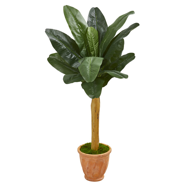 57” Banana Artificial Tree In Terra Cotta Planter