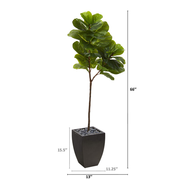 5.5’ Fiddle Leaf Artificial Tree In Black Planter (Real Touch)