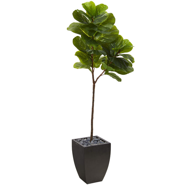 5.5’ Fiddle Leaf Artificial Tree In Black Planter (Real Touch)