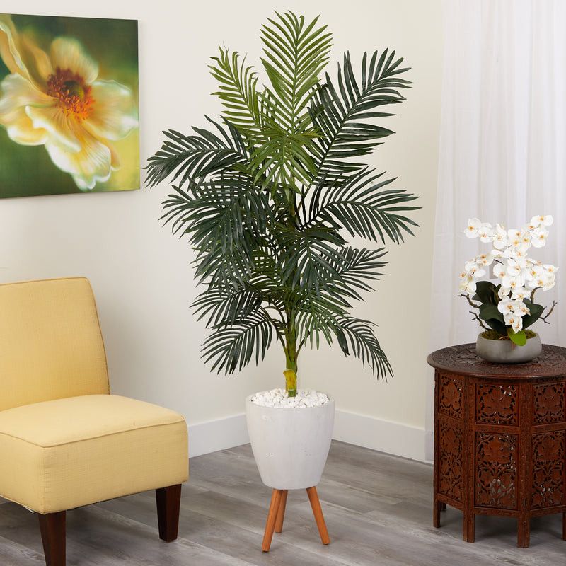 6’ Golden Cane Artificial Palm Tree In White Planter With Stand